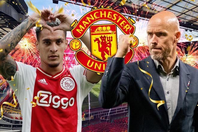 菜释放出更 菜释放出更